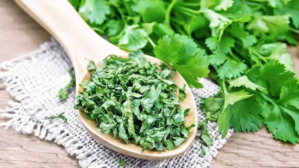 تصویر 4 از قیمت خرید سبزی گشنیز خشک + فروش ویژه